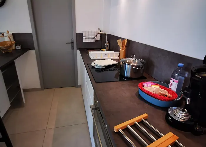 Apartment L'oree Du Calme Et Detente Thonon-les-Bains